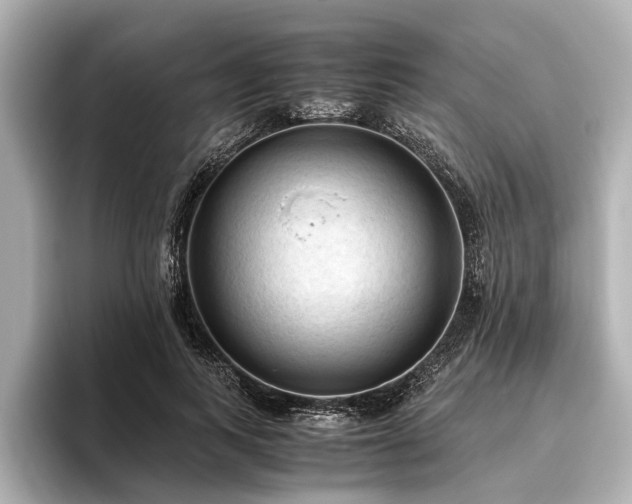 X0000096440743200801241358