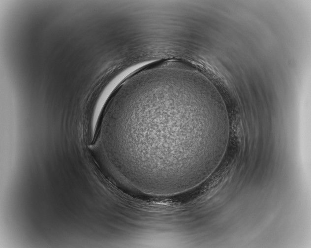 X0000096440744200801241358