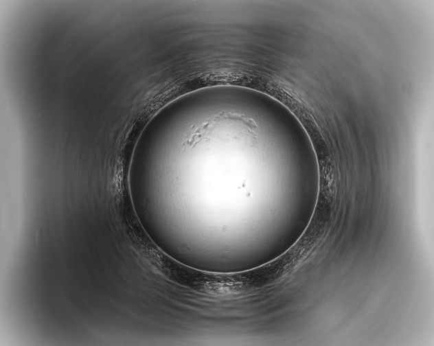 X0000096440745200801241358