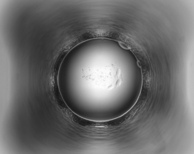 X0000096440746200801241358