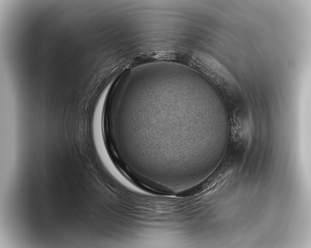 X0000096440748200801241358