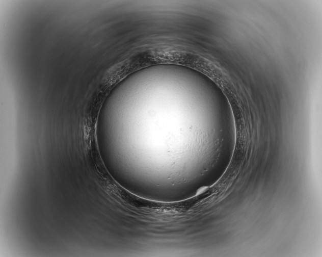 X0000096440749200801241358