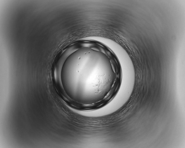 X0000096440750200801241358