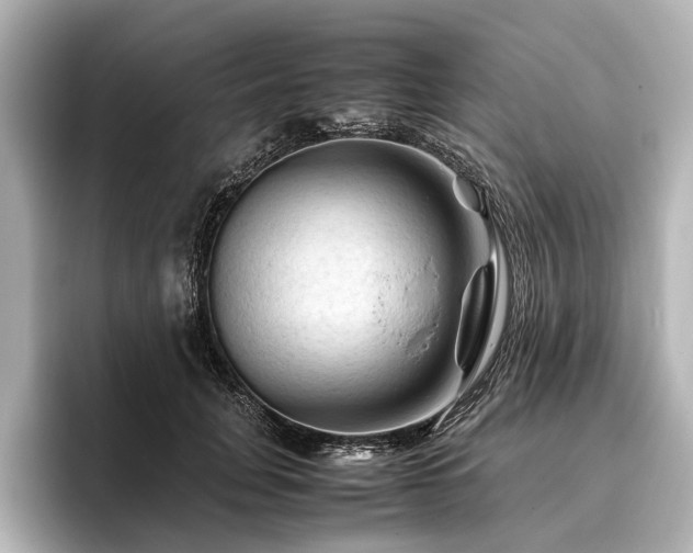 X0000096440751200801241358