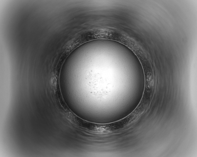 X0000096440753200801241358