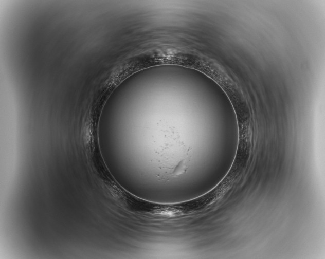 X0000096440754200801241358