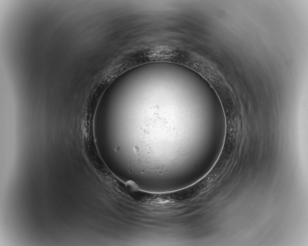 X0000096440755200801241358