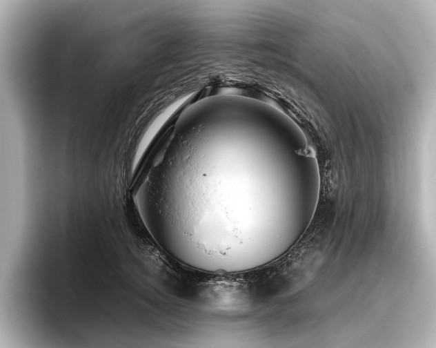 X0000096440756200801241358