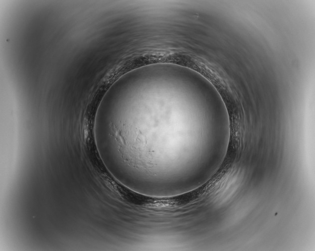 X0000096440758200801241358