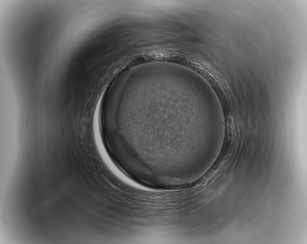X0000096440760200801241358