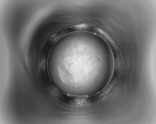 X0000096440762200801241358