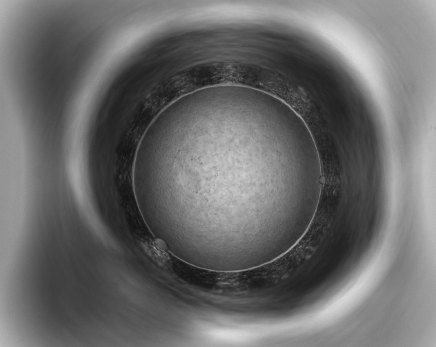 X0000096440766200801241358