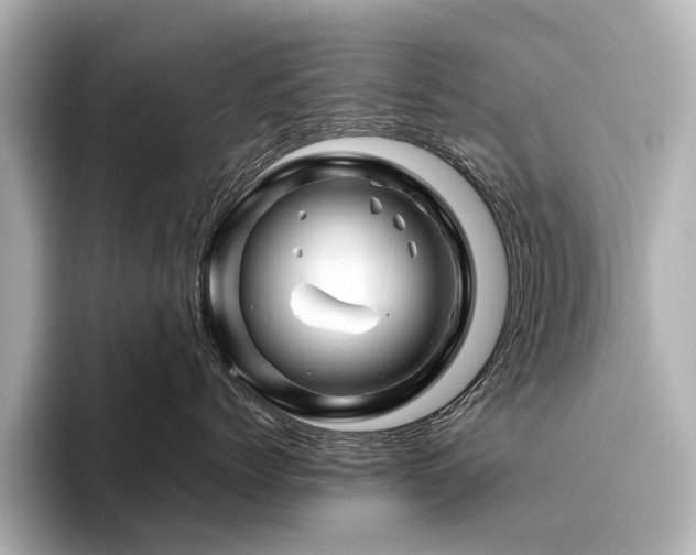 X0000096440768200801241358