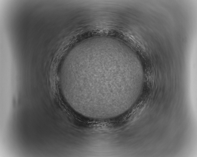 X0000096440769200801241358