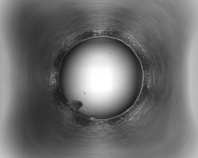 X0000096440770200801241358
