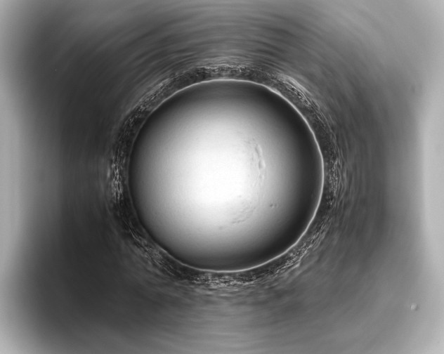 X0000096440774200801241358