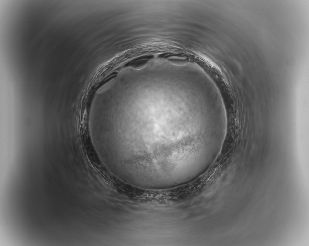 X0000096440775200801241358