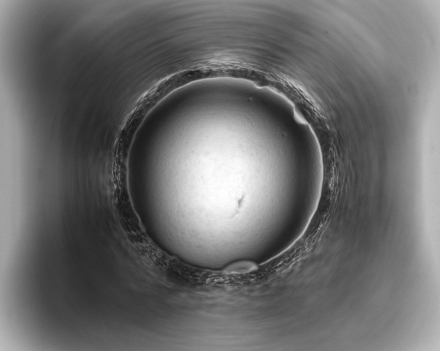 X0000096440776200801241358