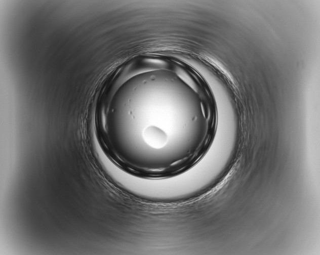 X0000096440777200801241358