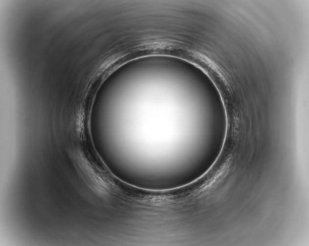 X0000096440778200801241358