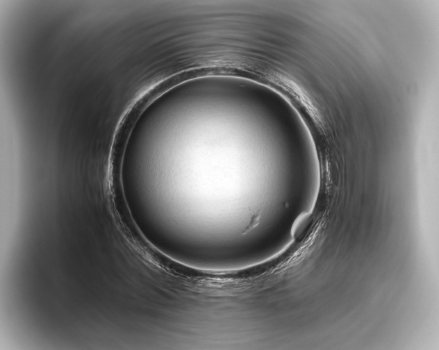 X0000096440780200801241358