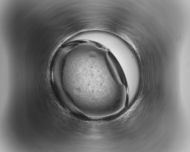 X0000096440781200801241358