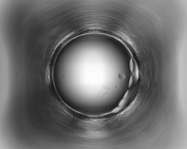 X0000096440782200801241358