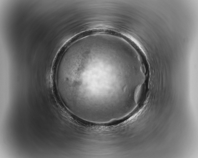 X0000096440783200801241358