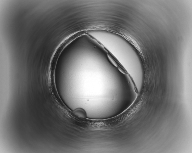 X0000096440784200801241358