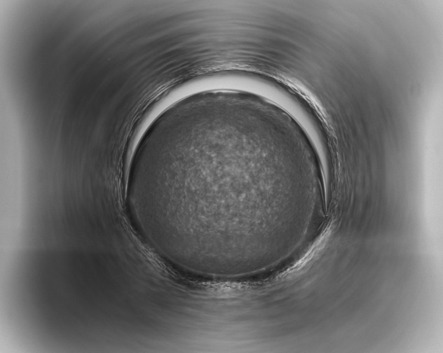 X0000096440785200801241358