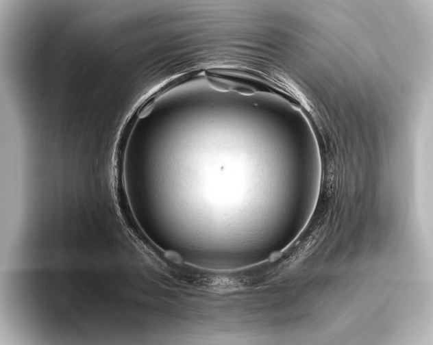X0000096440787200801241357