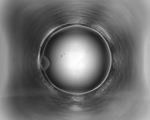 X0000096440788200801241357