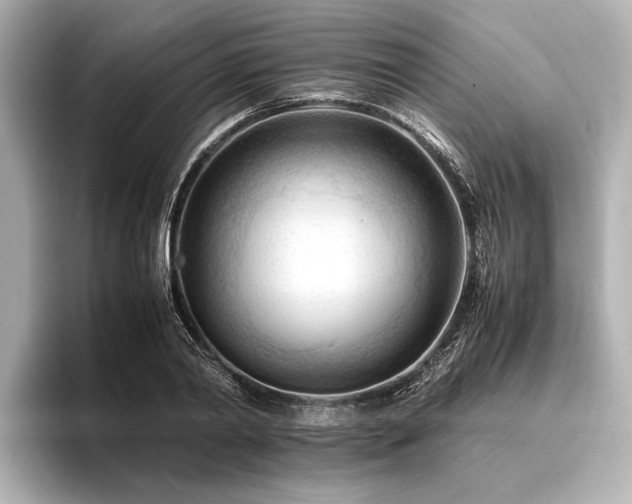 X0000096440790200801241357