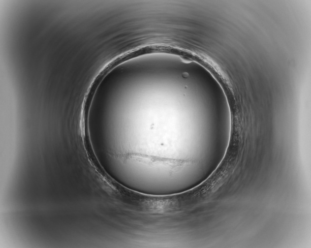 X0000096440791200801241357