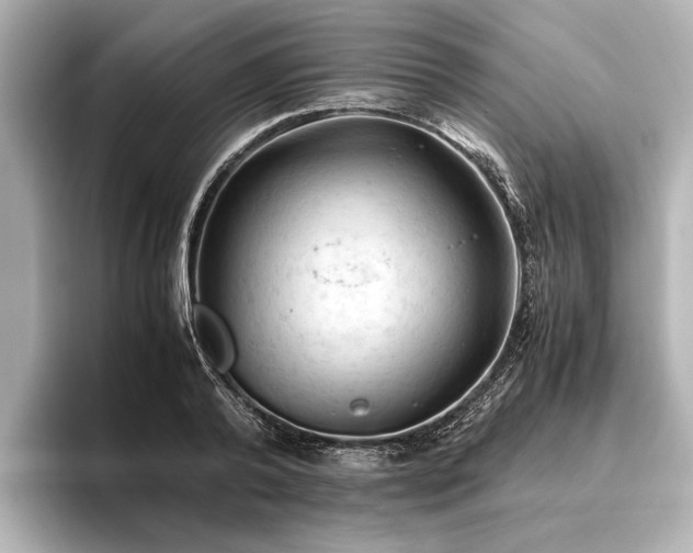 X0000096440792200801241357