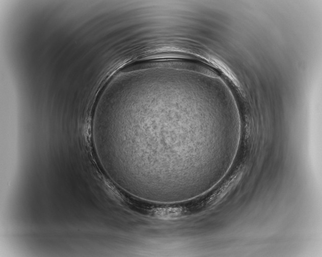 X0000096440793200801241357