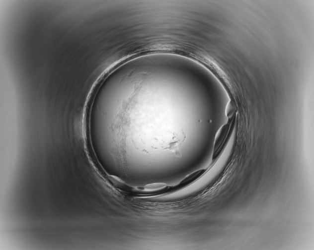 X0000096440795200801241357