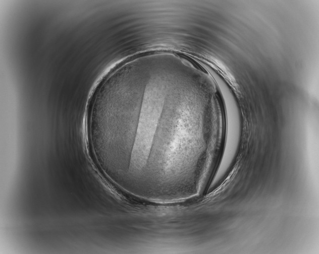 X0000096440796200801241357