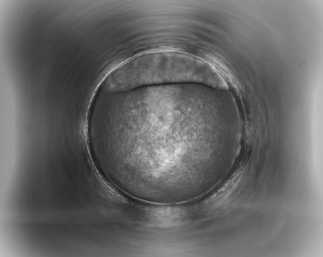 X0000096440797200801241357