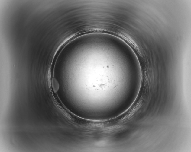 X0000096440798200801241357