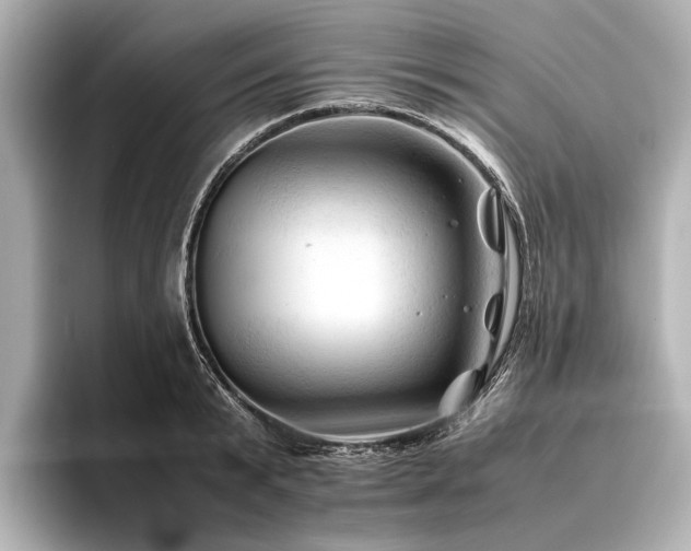 X0000096440799200801241357