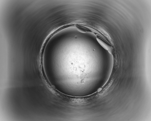 X0000096440800200801241357