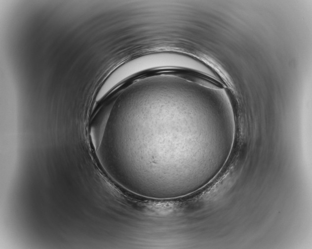 X0000096440801200801241357