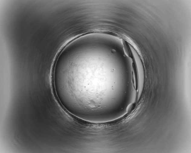 X0000096440803200801241357