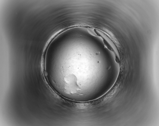 X0000096440804200801241357