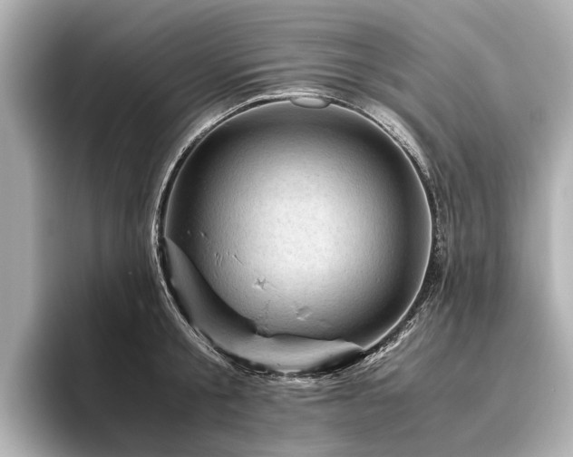 X0000096440805200801241357