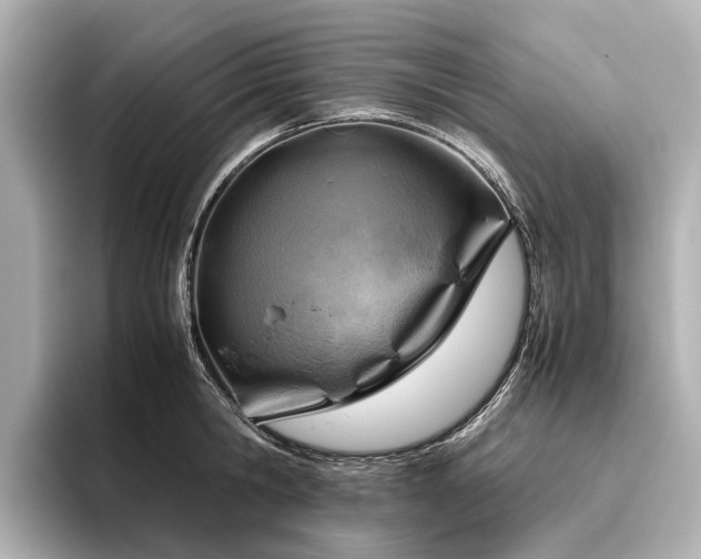 X0000096440806200801241357