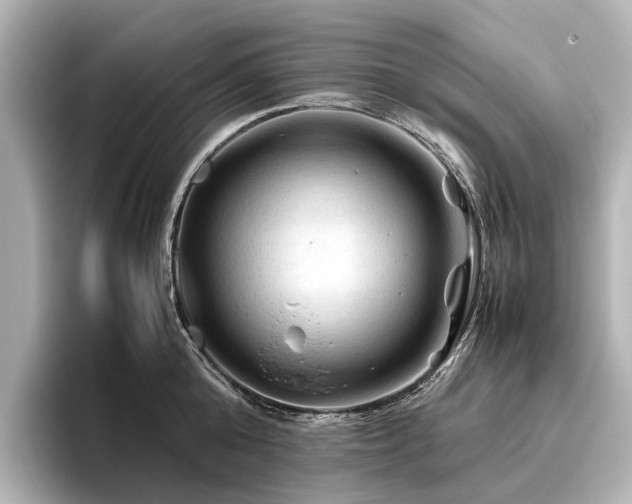 X0000096440808200801241357