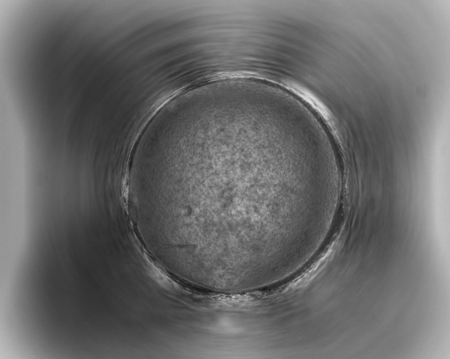 X0000096440809200801241357
