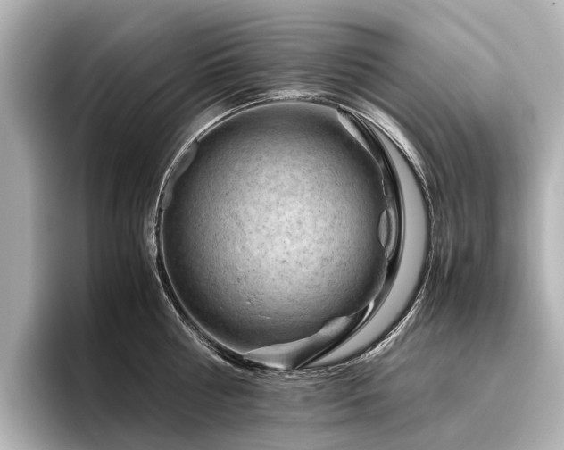 X0000096440810200801241357